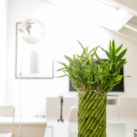 Untree.co
